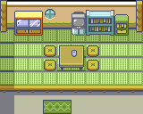 Dewford Town House 1 map