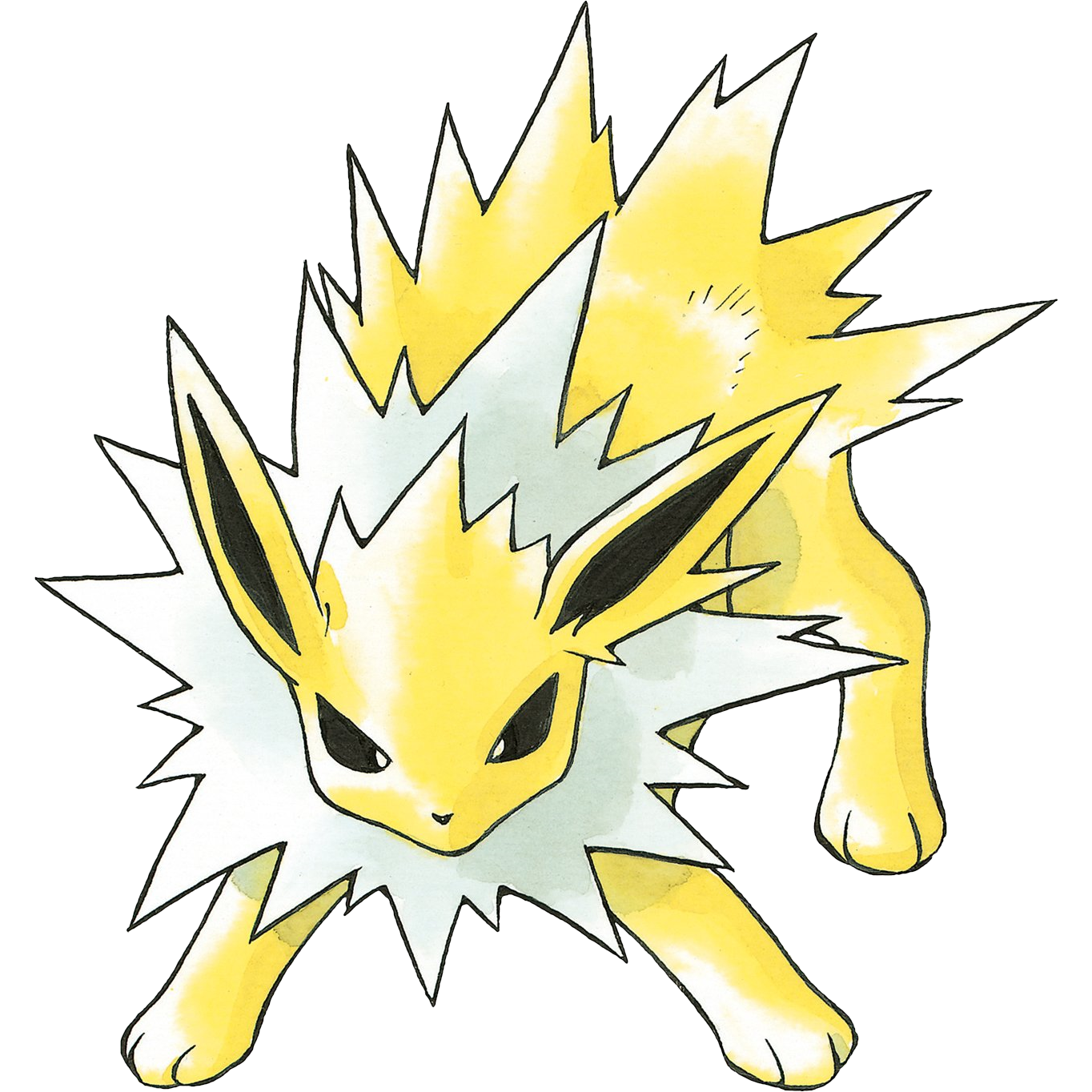 Jolteon artwork