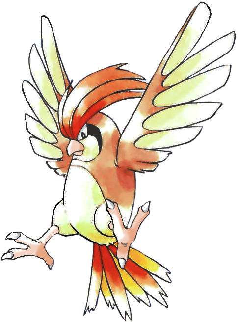 Pidgeotto artwork