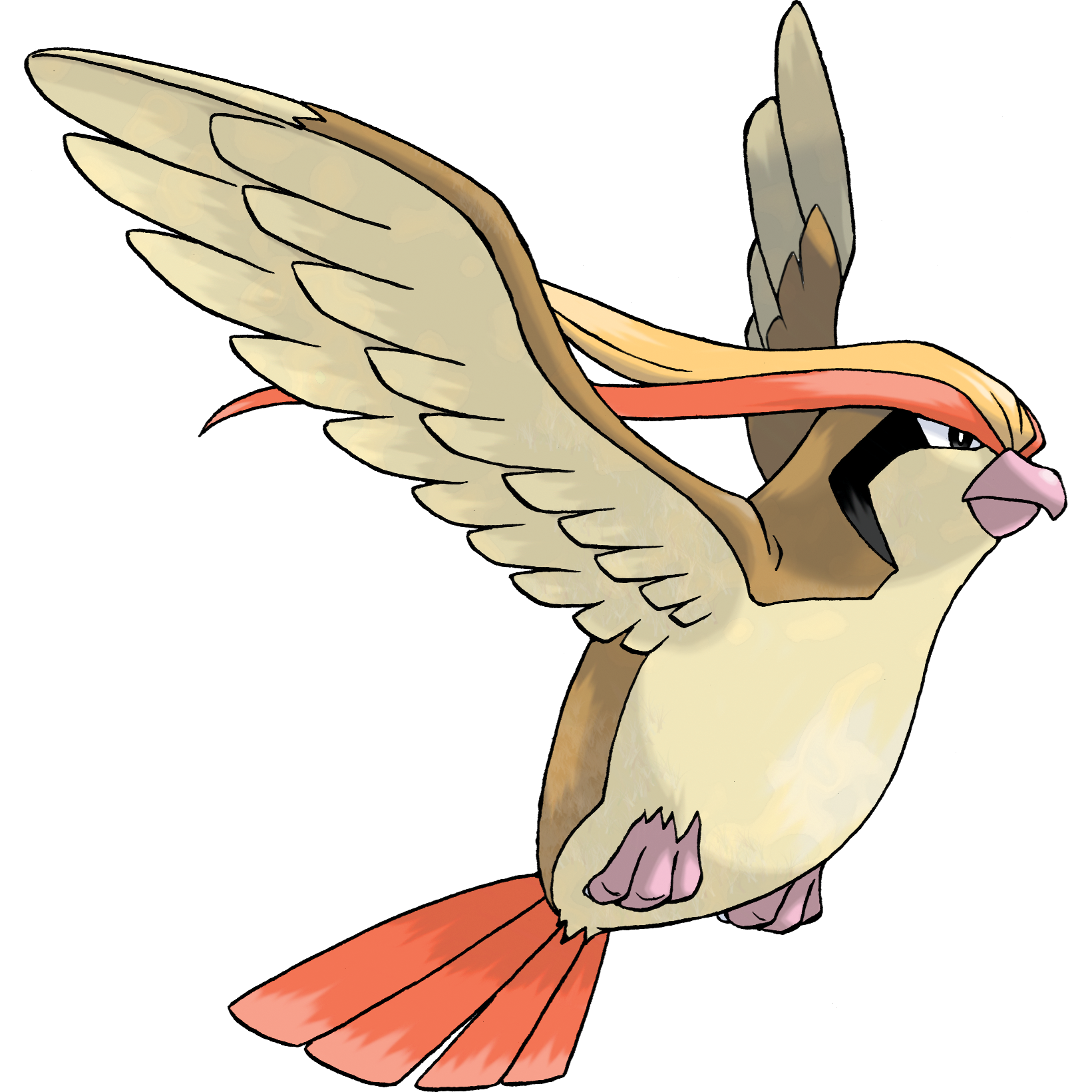 Pidgeot artwork