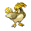 Shiny Pidgeotto sprite