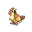 Pidgey sprite