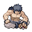 Elite Four Bruno sprite