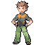 Leader Brock sprite