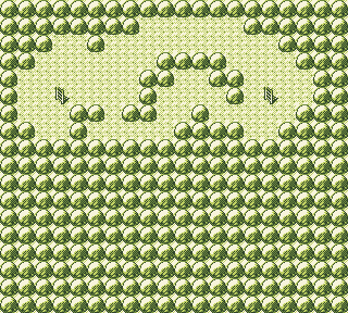 Map guide for the current location