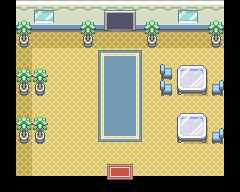 Route 2 Viridian Forest North Entrance map