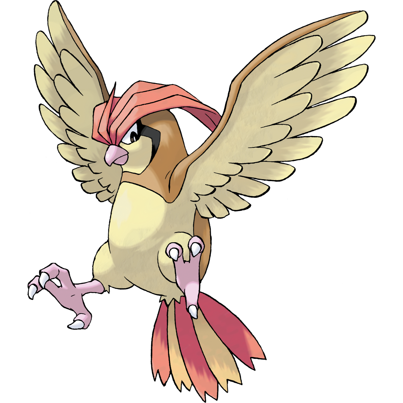 Pidgeotto artwork