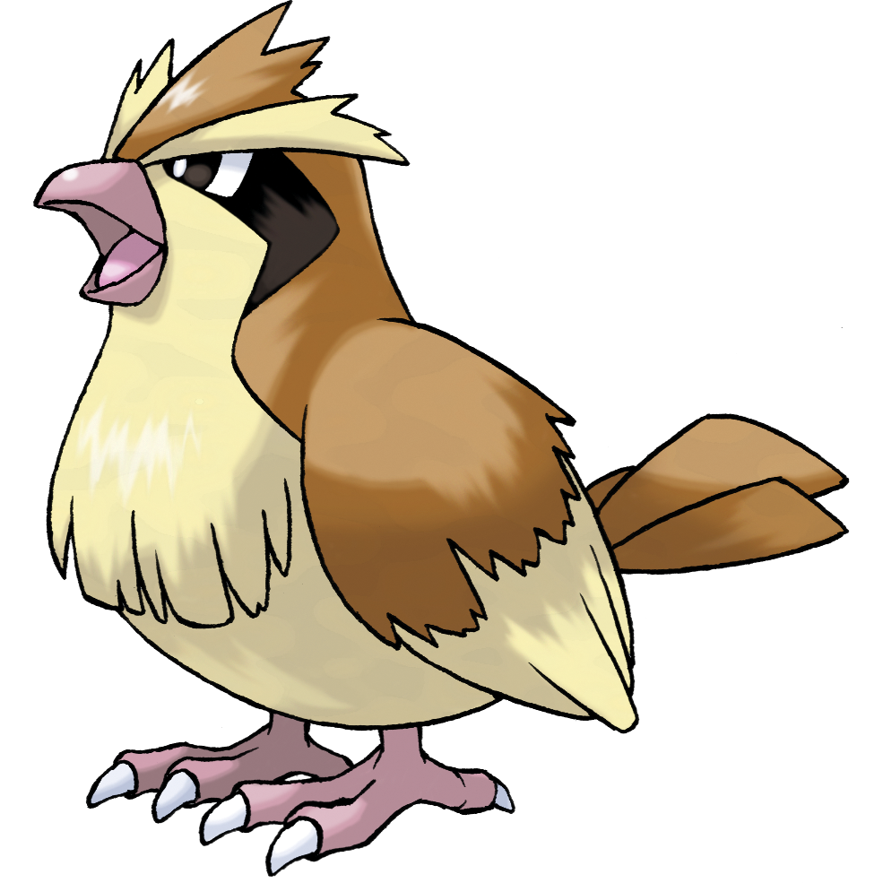 Pidgey artwork