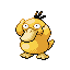 Psyduck sprite