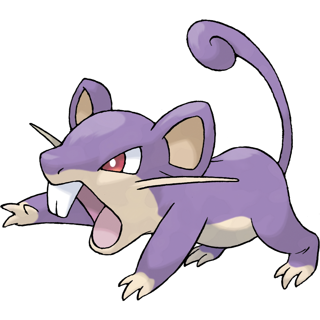 Rattata artwork