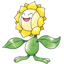 Sunflora artwork