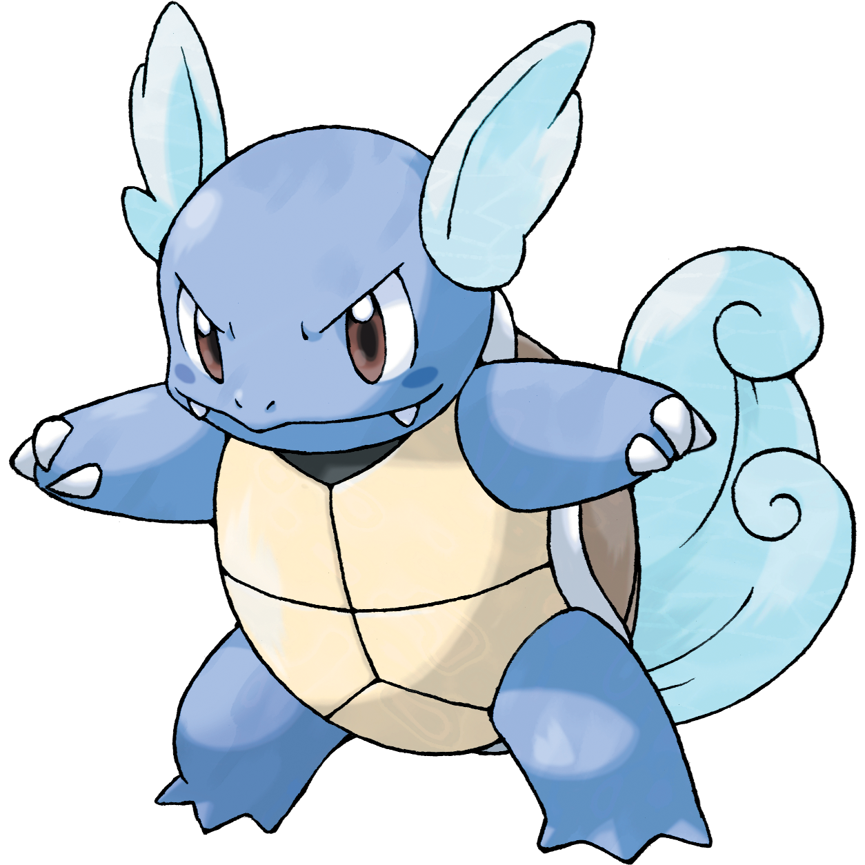 Wartortle artwork