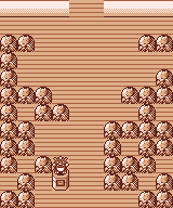 Map guide for the current location