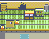Route 114 Fossil Maniacs House map