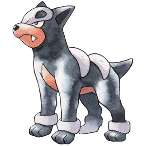 Houndour artwork