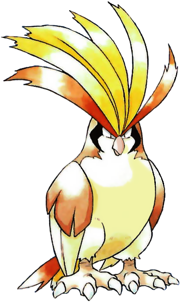 Pidgeot artwork