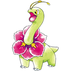 Meganium artwork