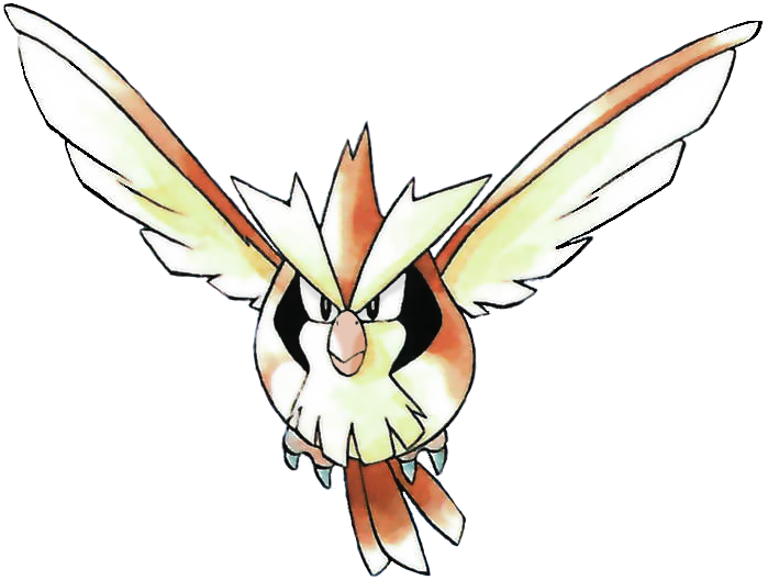 Pidgey artwork