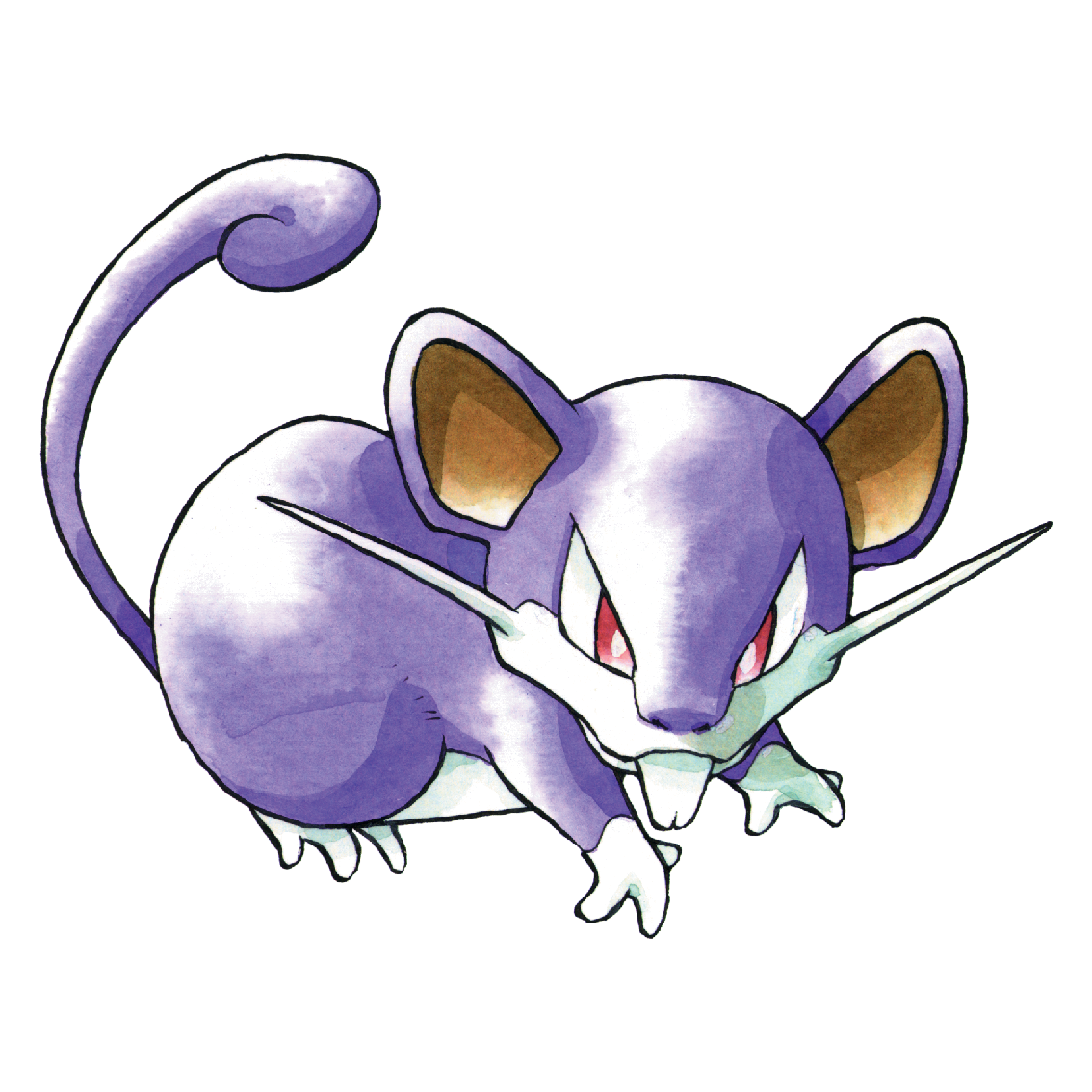 Rattata artwork