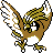 Shiny PIDGEOTTO sprite