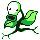 BELLSPROUT sprite